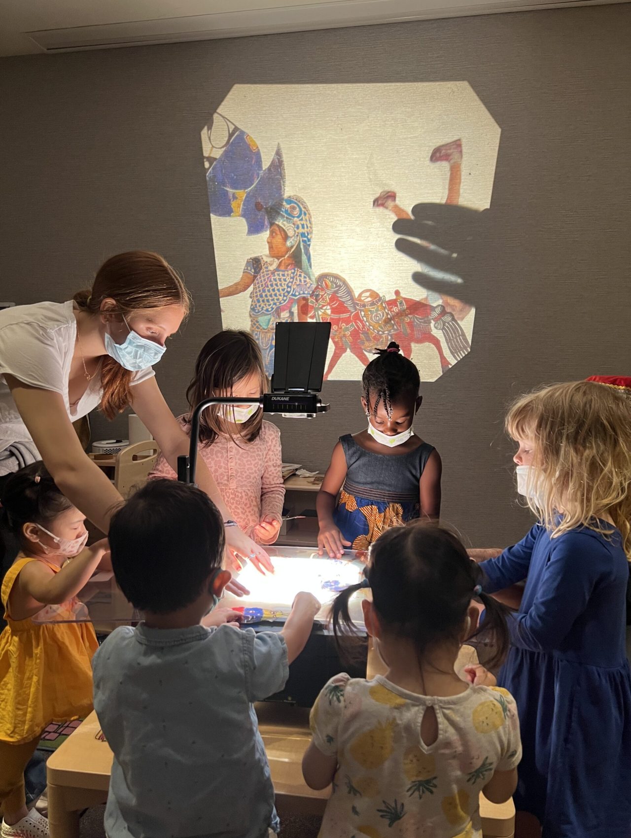 Immersive Summer Program